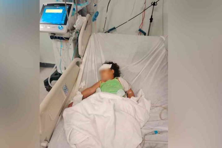 ضحية جديدة لأفعى فلسطين.. لدغة تُدخل طفلة أردنية بحالة حرجة
