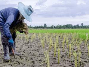 الانتقال للأخضر.. رسالة للعالم من محمد بن زايد وزعماء آخرين