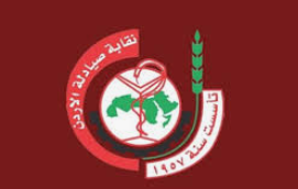 نقيب الصيادلة يعلن عن الأسس الجديدة مع شركات التأمين