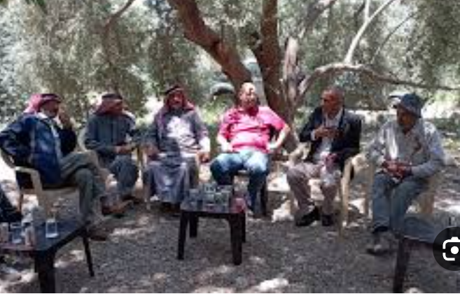 برنامج إرشادي لإدارة بساتين العنب بالقطرانة