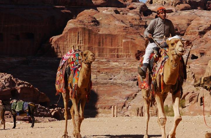 وكلاء السياحة تحذر من التعامل مع المكاتب غير المرخصة
