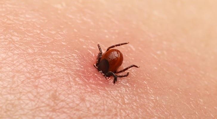 تسجيل أول وفاة بفيروس أوز باليابان