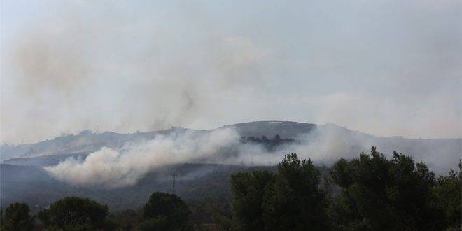 مستوطنون يحرقون عشرات الدونمات من محاصيل الفلسطينيين جنوب الخليل