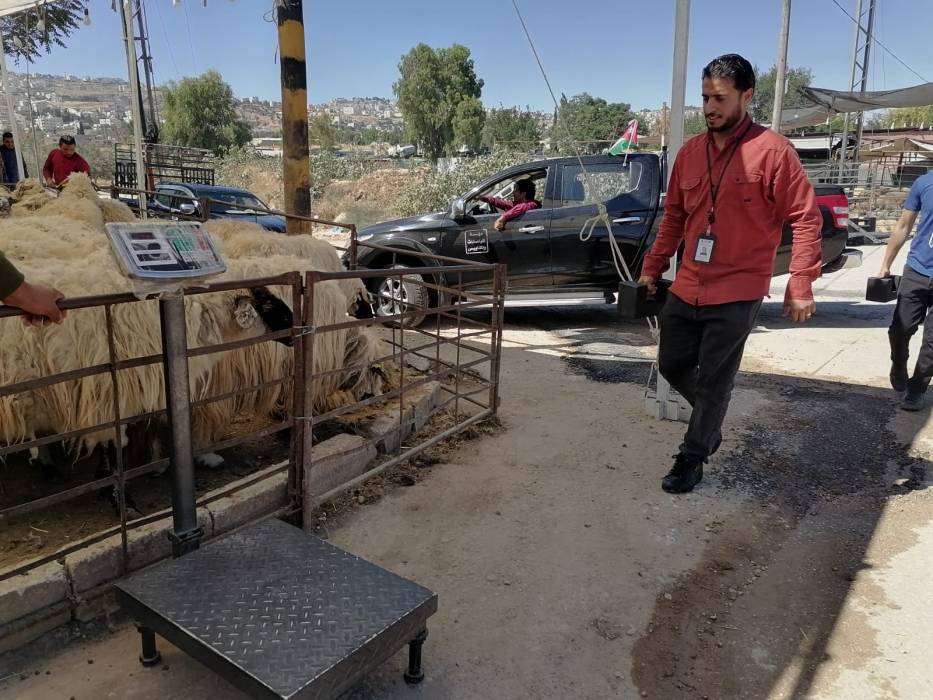 المواصفات والمقاييس استمرار الجولات على الأسواق وتشديد الرقابة على موازين الأضاحي خلال عطلة العيد