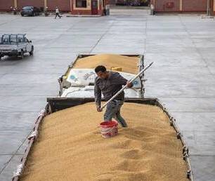 وصول شحنة من القمح الروسي إلى مصر