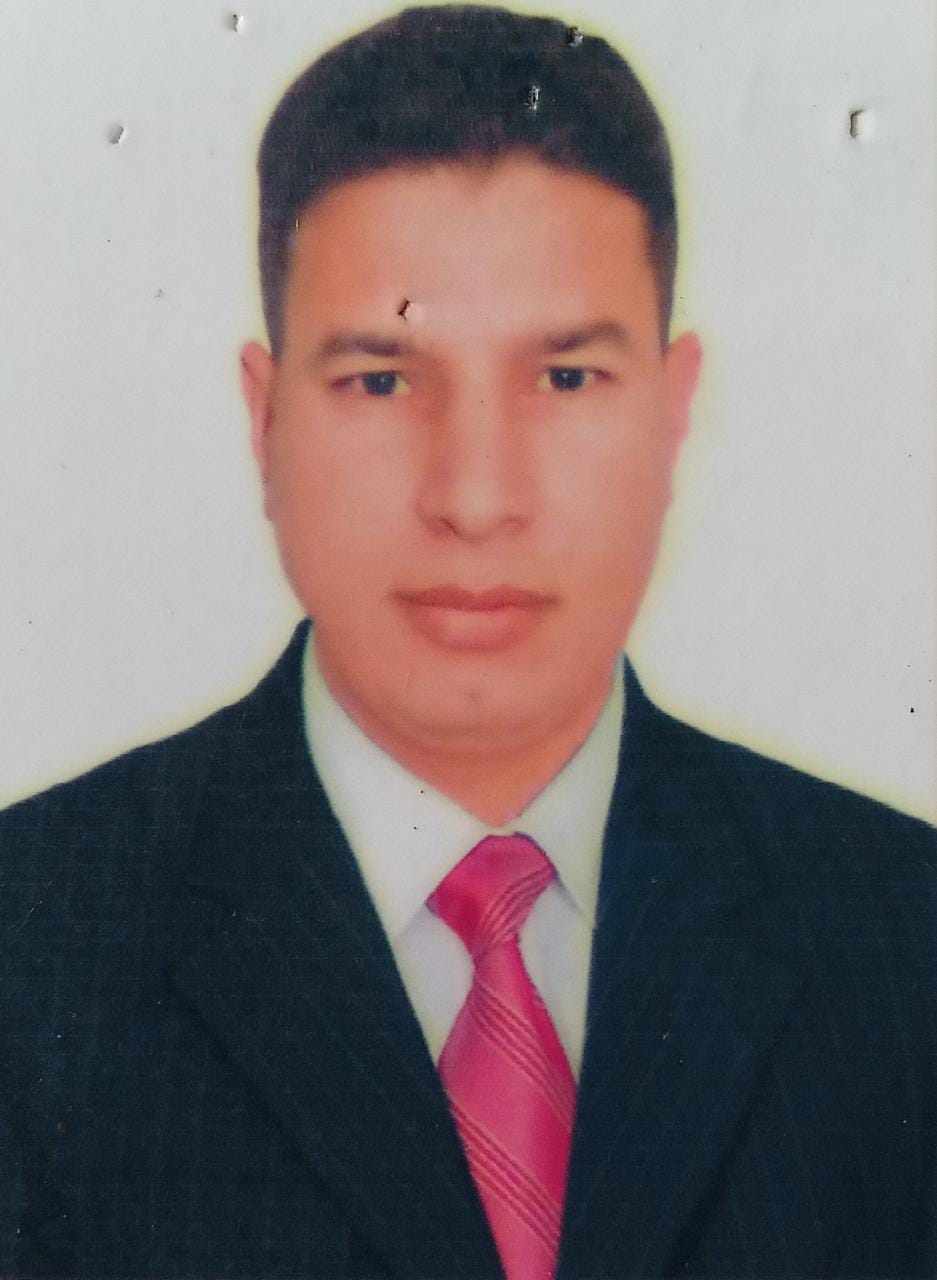 محاولات فاشلة لاسقاط الدولة المصرية