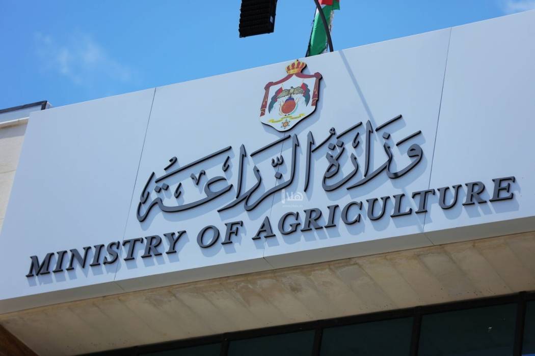 الزراعة: مسح شامل بواسطة تقنيات الكشف المبكر عن حشرة سوسة النخيل