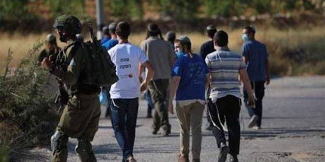 إصابة ثلاثة فلسطينيين باعتداء للمستوطنين في أريحا