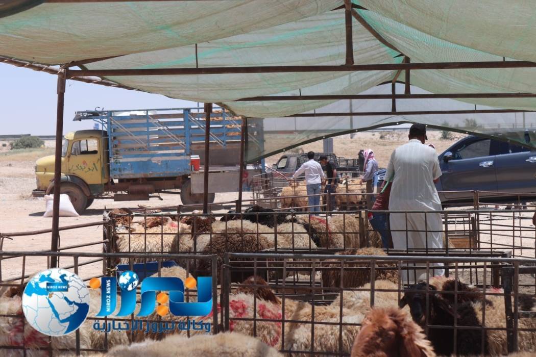 بلدية لواء الموقر تحدد أماكن بيع الأضاحي ...صور