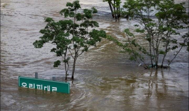 فقدان امرأة جراء أمطار غزيرة في كوريا الجنوبية