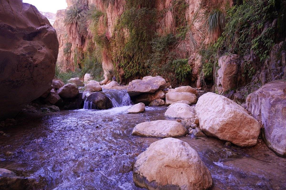 الغابات متنفس سياحي لأبناء الكرك وزوارها