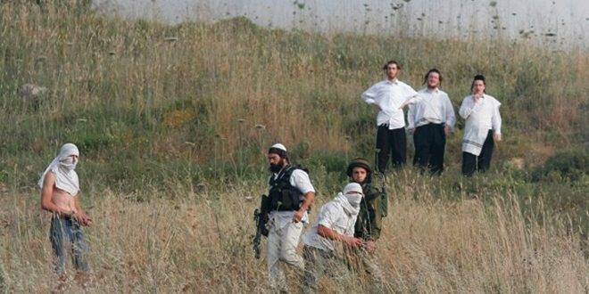 مستوطنون يعتدون على فلسطينيين غرب سلفيت