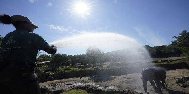 مصرع 13 شخصاً جراء موجة حر جنوب الولايات المتحدة