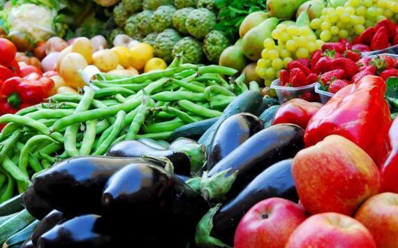 زيادة صادرات الخضار والفواكه الأردنية 24