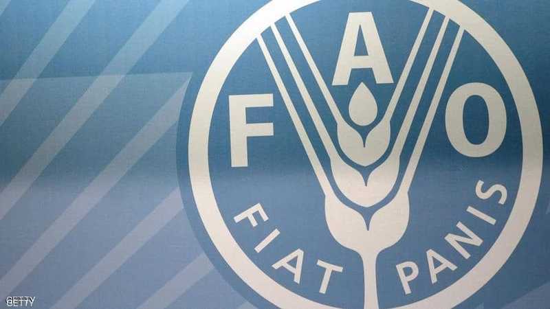 إعادة انتخاب الصيني شو دونيو مديرا لمنظمة الأغذية والزراعة