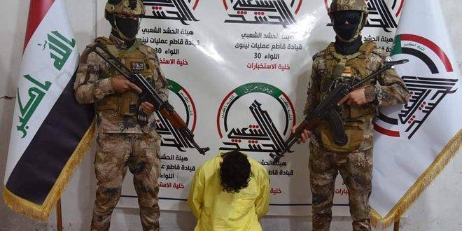القوات العراقية تلقي القبض على إرهابي في نينوى