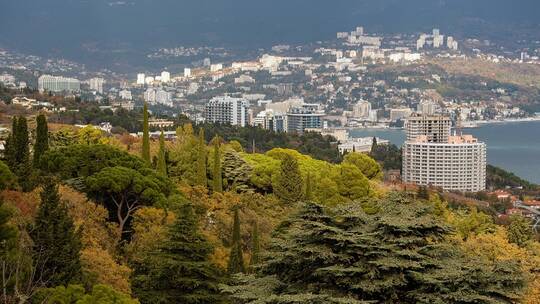 سلوتسكي ينصح شولتس بعدم التكهن بالمواضيع التي لا يفهمها