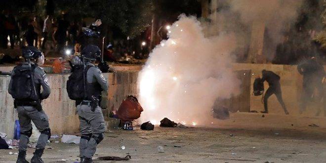 تواصل الإدانات العربية لعدوان الاحتلال الإسرائيلي على جنين ومخيمها