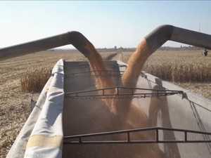 مع تراجع صادرات الحبوب الأوكرانية.. العيون على يوم 18 يوليو