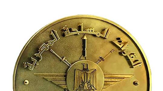 الجيش المصري يصدر بيانا بشأن عملية الدهس المروعة في مدينتي