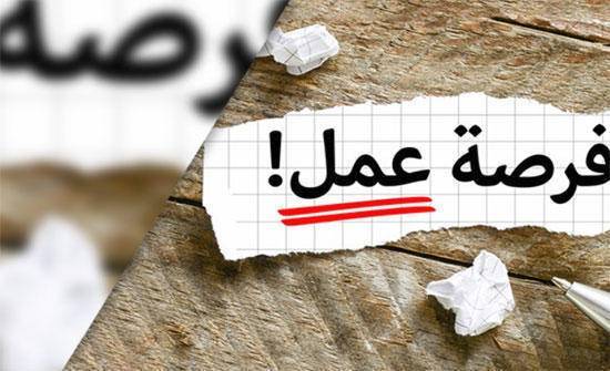 الحكومة: الانتقال لنظام الإعلان المفتوح بالتعيينات بحلول 2027