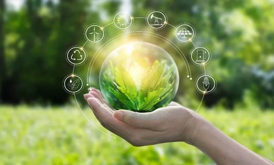 مشروع أردني لابتكار وظائف خضراء بـ 6 ملايين دولار
