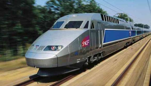 بحادثة نادرة.. تغريم قطار بسبب دهس قطة في فرنسا