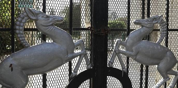 مصر.. إغلاق حديقة الحيوان في القاهرة أمام الزوار مؤقتا