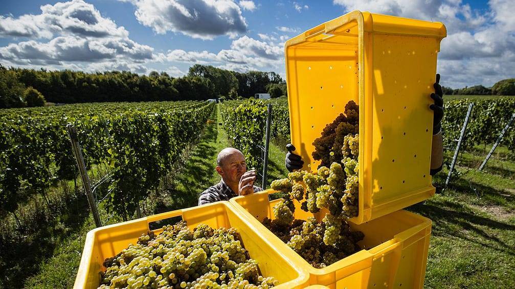 اتفاق على تسهيل تشغيل العمال المغاربة في المزارع الفرنسية