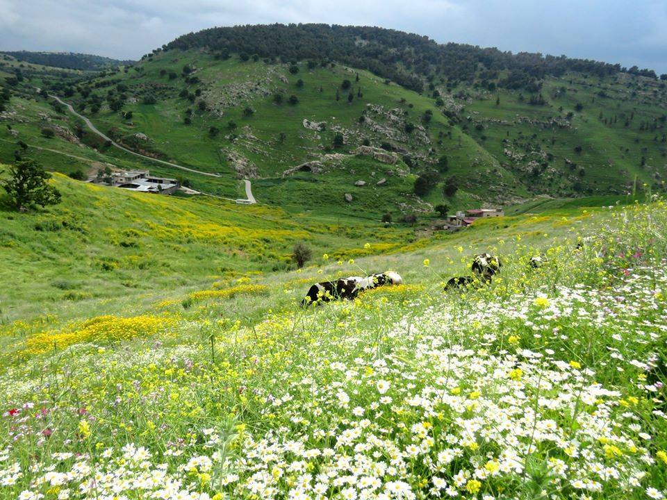 الكورة: ورشة حول مستقبل التطوير السياحي