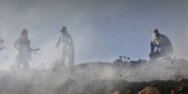 مستوطنون إسرائيليون يحرقون عشرات الدونمات من الأراضي الزراعية جنوب نابلس