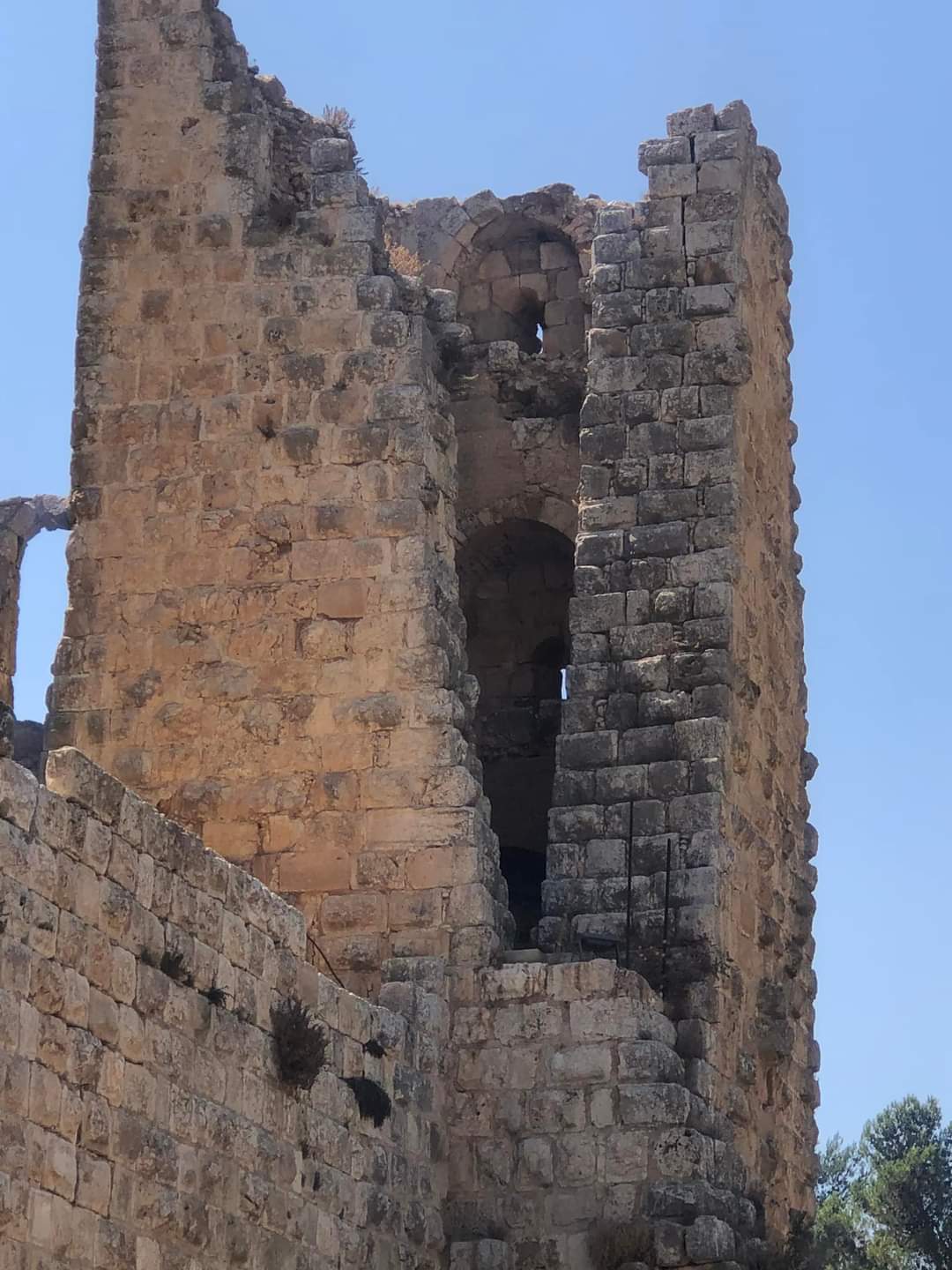 قلعة عجلون ( الربض)