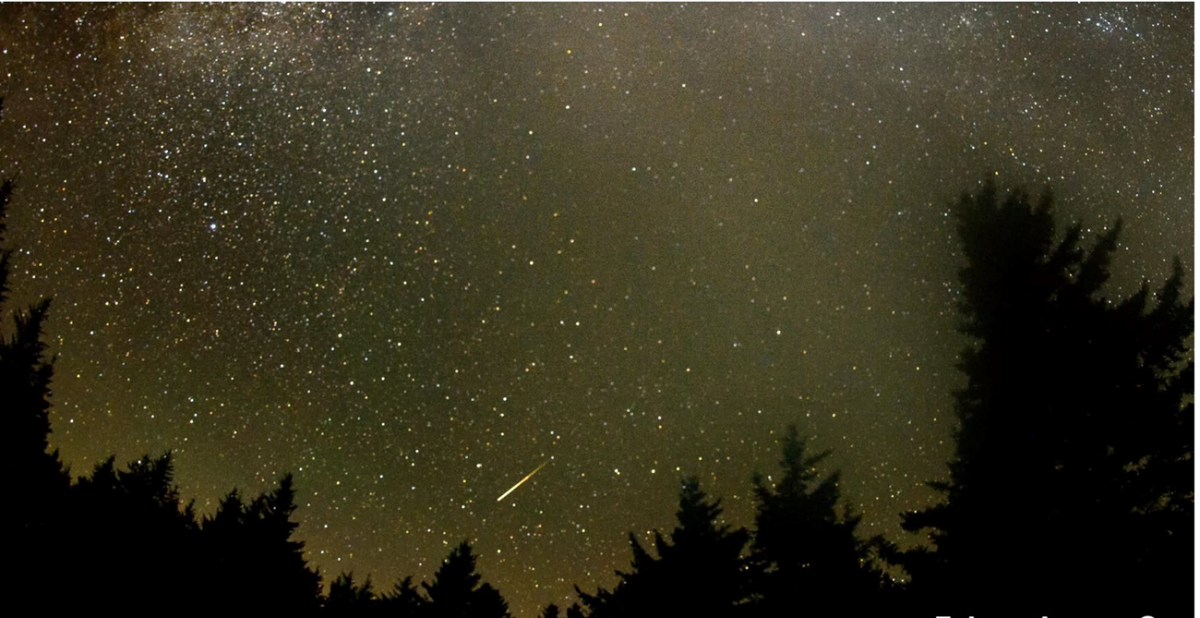 المريخ وقلب الأسد .. مصر تشهد ظاهرة فلكية اليوم