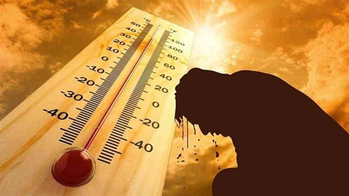 المنظمة العالمية للأرصاد الجوية تحذر من موجة الحر البحري