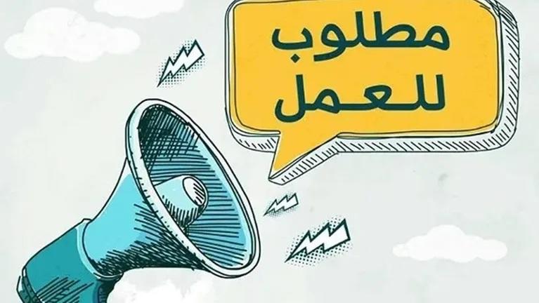 يوم وظيفي بإربد يوفر 800 فرصة عمل