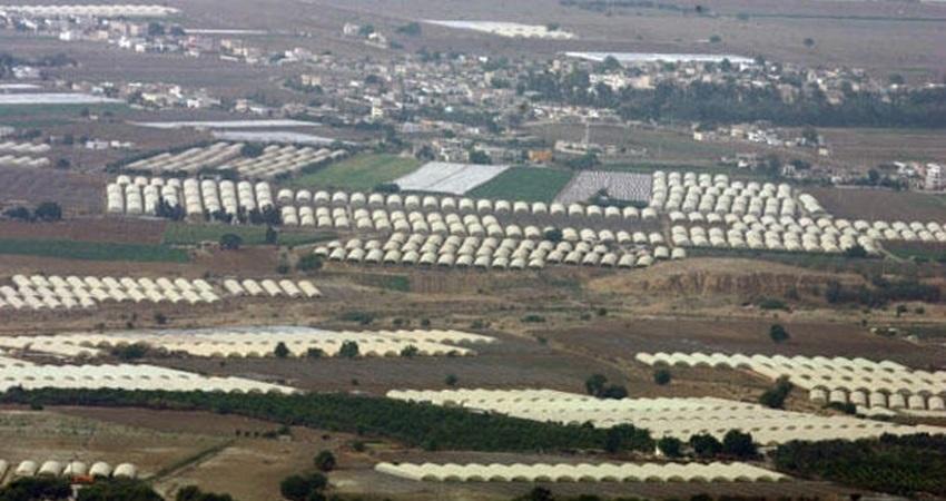 الحرارة تسجل 46.2 درجة مئوية بغور الصافي