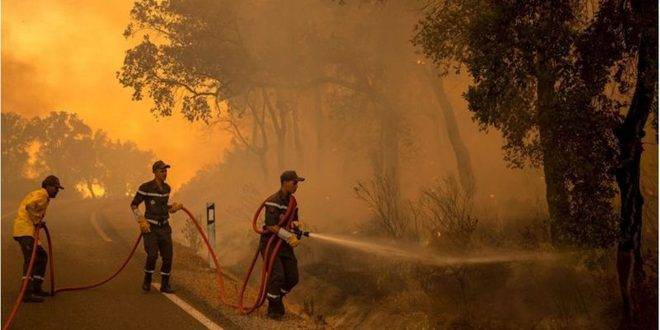 إسبانيا: احتراق منازل وإجلاء المئات جراء حريق غابات في إحدى جزر الكناري
