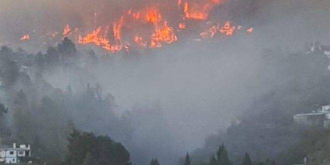 إجلاء الآلاف مع خروج حريق غابات في جزيرة إسبانية عن السيطرة