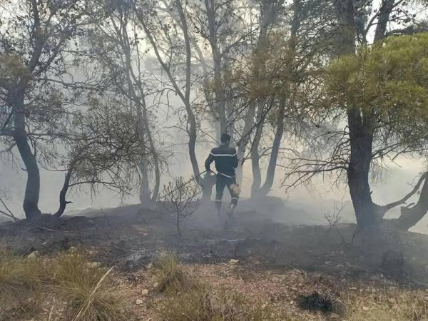 تجدد نشوب الحرائق بوادي الشام بين عجلون وجرش