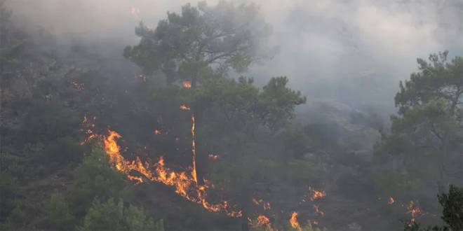 اليونان تواصل مكافحة الحرائق وتجلي آلاف السياح من جزرها