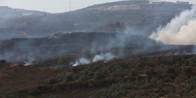 مستوطنون يحرقون عشرات الأشجار جنوب نابلس