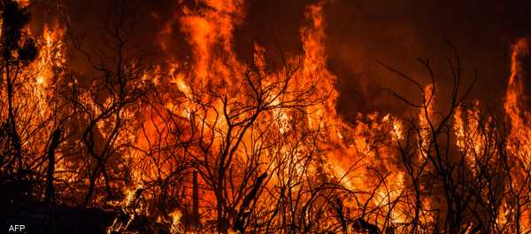 حرائق الجزائر.. كل ما نريد معرفته