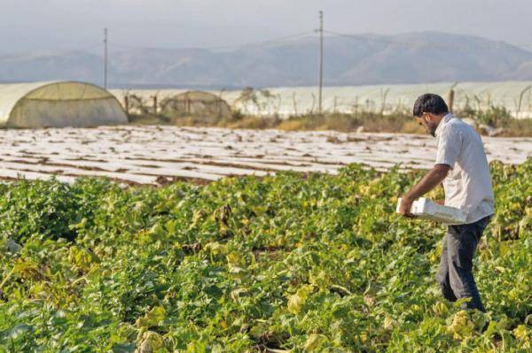 مزارعون بالكرك يطالبون بإطلاق منصة إرشاد إلكترونية