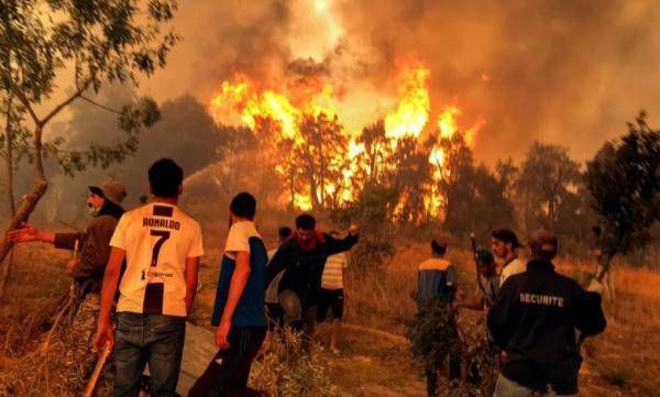 المغرب تعزي بضحايا حرائق الغابات في الجزائر