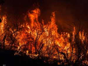 الجزائر.. توقيف 4 أشخاص للاشتباه في تسببهم بـحرائق الغابات