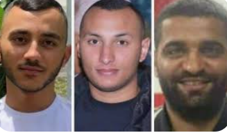 خلال 24 ساعة.. 3 قتلى في الداخل المحتل