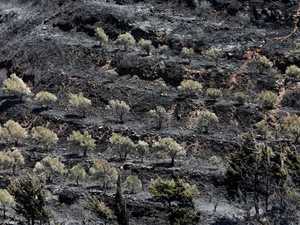 الحرائق في سوريا وقد تطال لبنان.. المناخ يخرج عن السيطرة