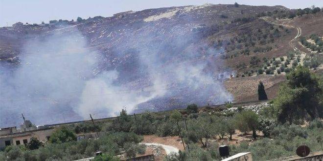 مستوطنون يعتدون على أراضي الفلسطينيين في قرية بورين جنوب نابلس