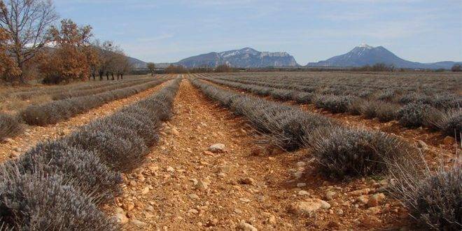جراء الجفاف فيها… قيود على استهلاك الماء في إسبانيا