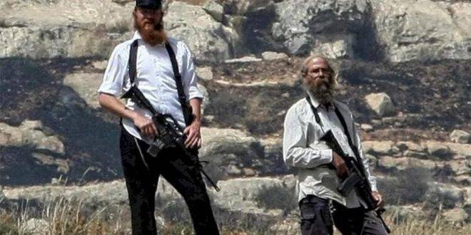 مستوطنون يعتدون على فلسطينيين وممتلكاتهم جنوب الخليل